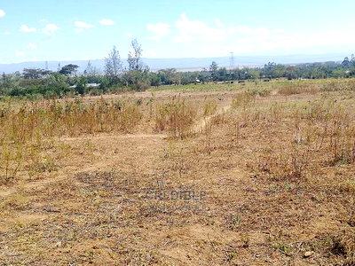 Prime Plots at Miti Mingi Behind Exxo Petrol Station - Image 3