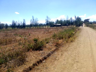 Prime Plots at Miti Mingi Behind Exxo Petrol Station - Image 5
