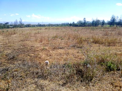 Prime Plots at Miti Mingi Behind Exxo Petrol Station - Image 6