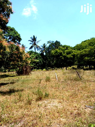 For Sale 5 Acre Agricultural Land Kikambala - Image 2