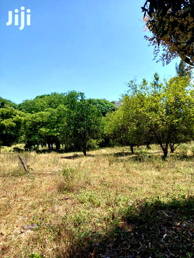 For Sale 5 Acre Agricultural Land Kikambala - Image 3
