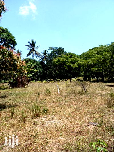 For Sale 5 Acre Agricultural Land Kikambala - Image 4