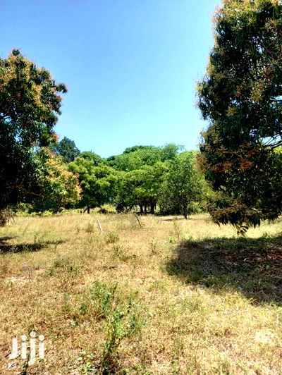 For Sale 5 Acre Agricultural Land Kikambala - Image 5