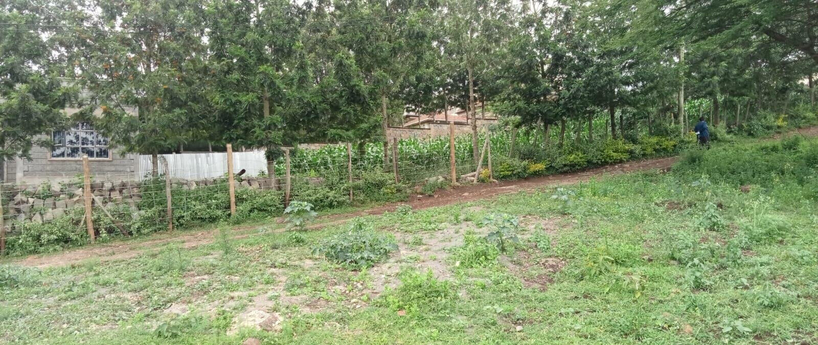 Hillside Quarter Acre in Kiserian