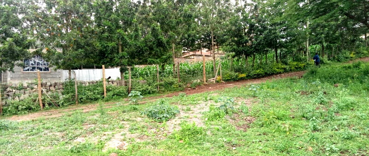 Hillside Quarter Acre in Kiserian