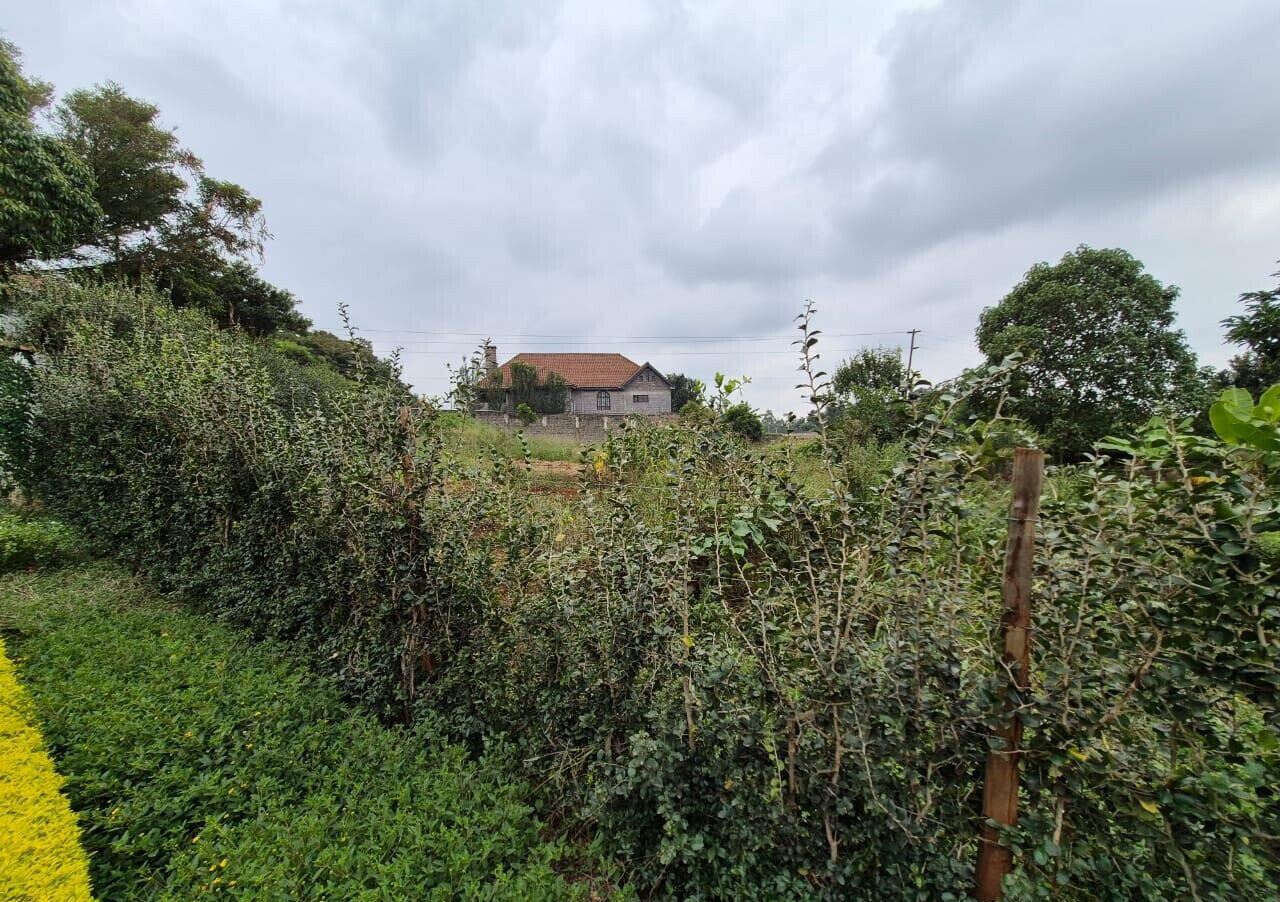 Half Acre Runda Gem at KSh 55M