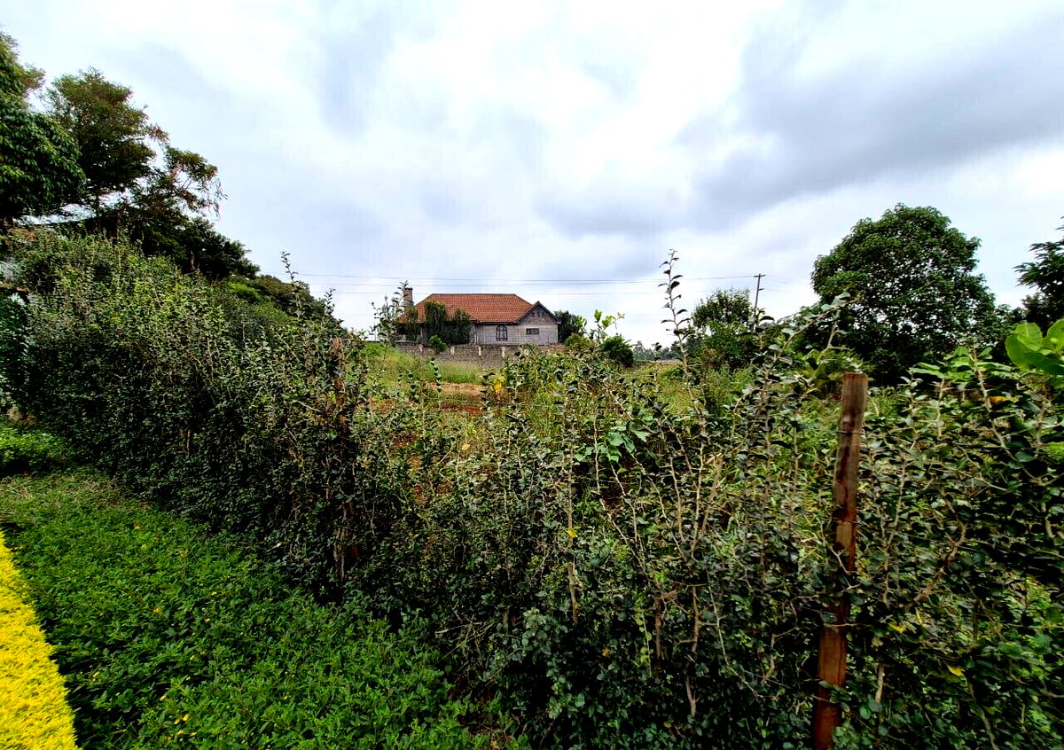 Half Acre Runda Gem at KSh 55M