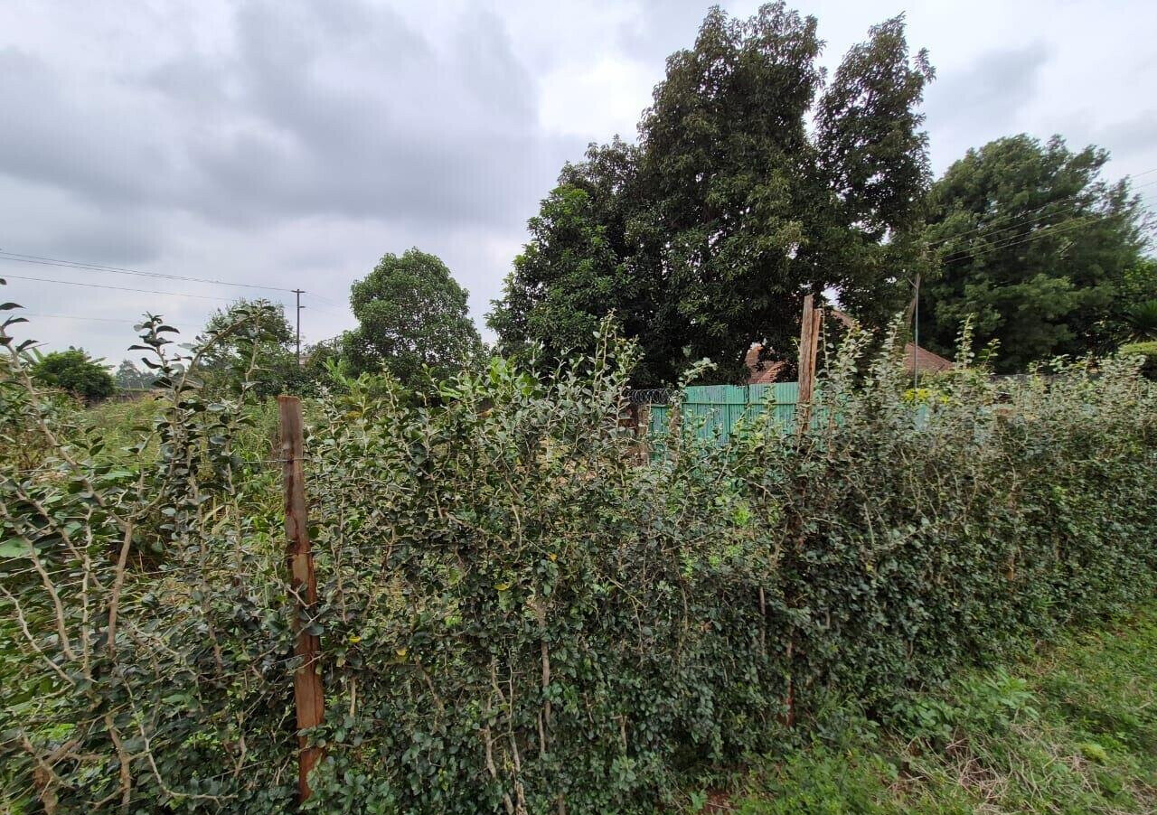 Half Acre Runda Gem at KSh 55M