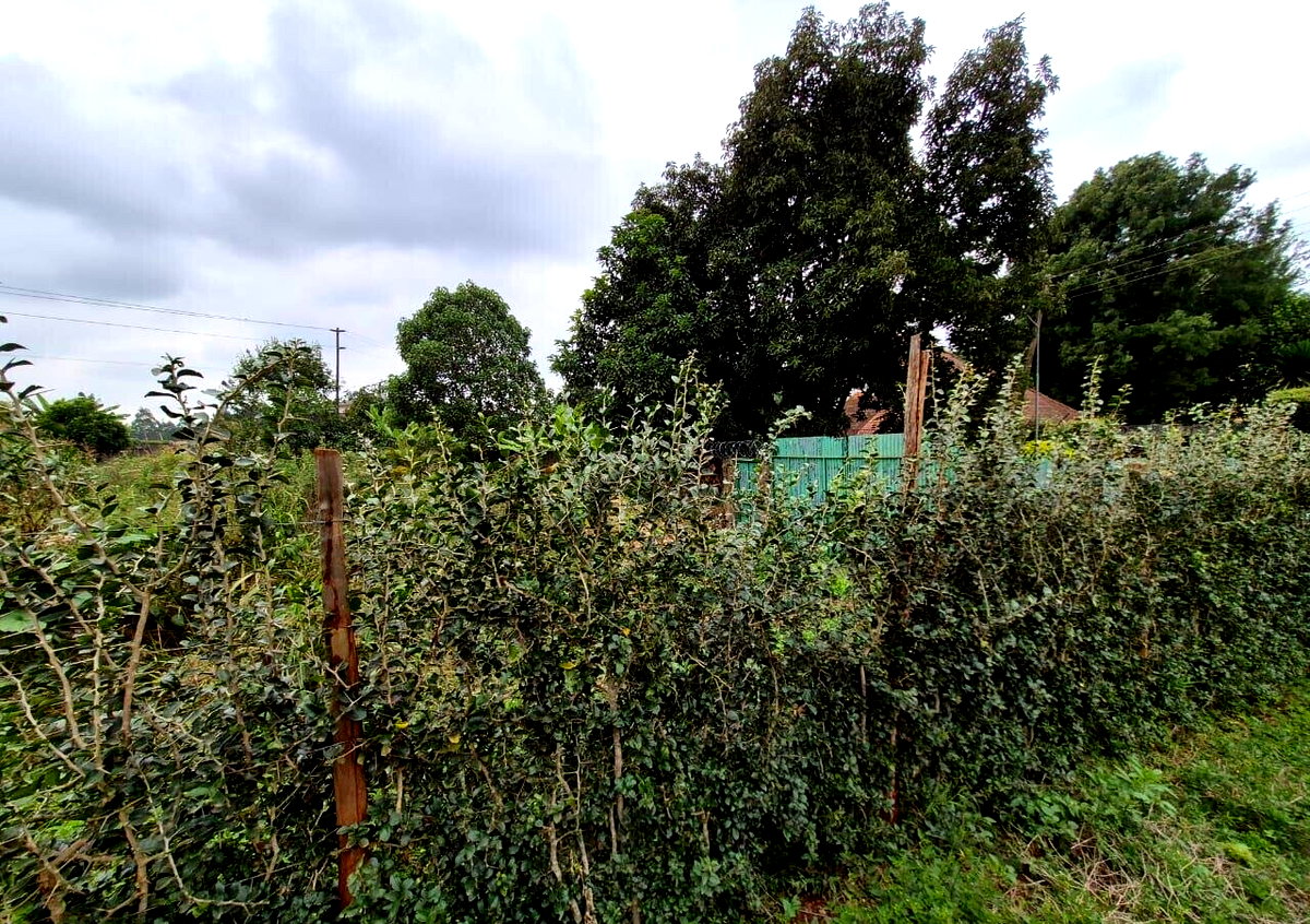 Half Acre Runda Gem at KSh 55M