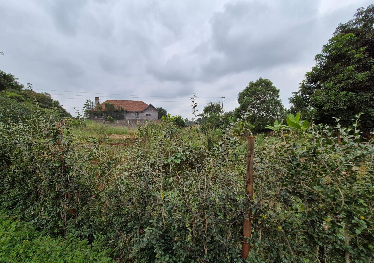 Half Acre Runda Gem at KSh 55M