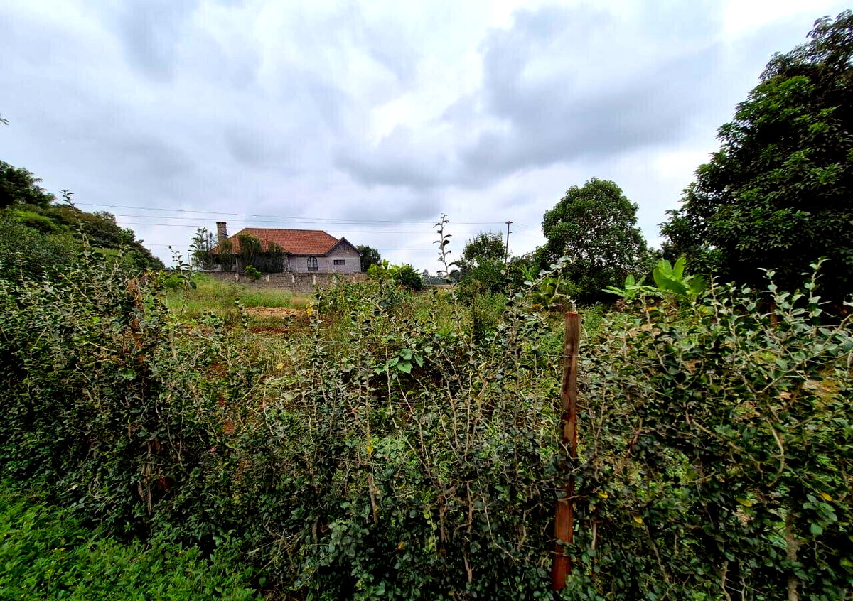 Half Acre Runda Gem at KSh 55M