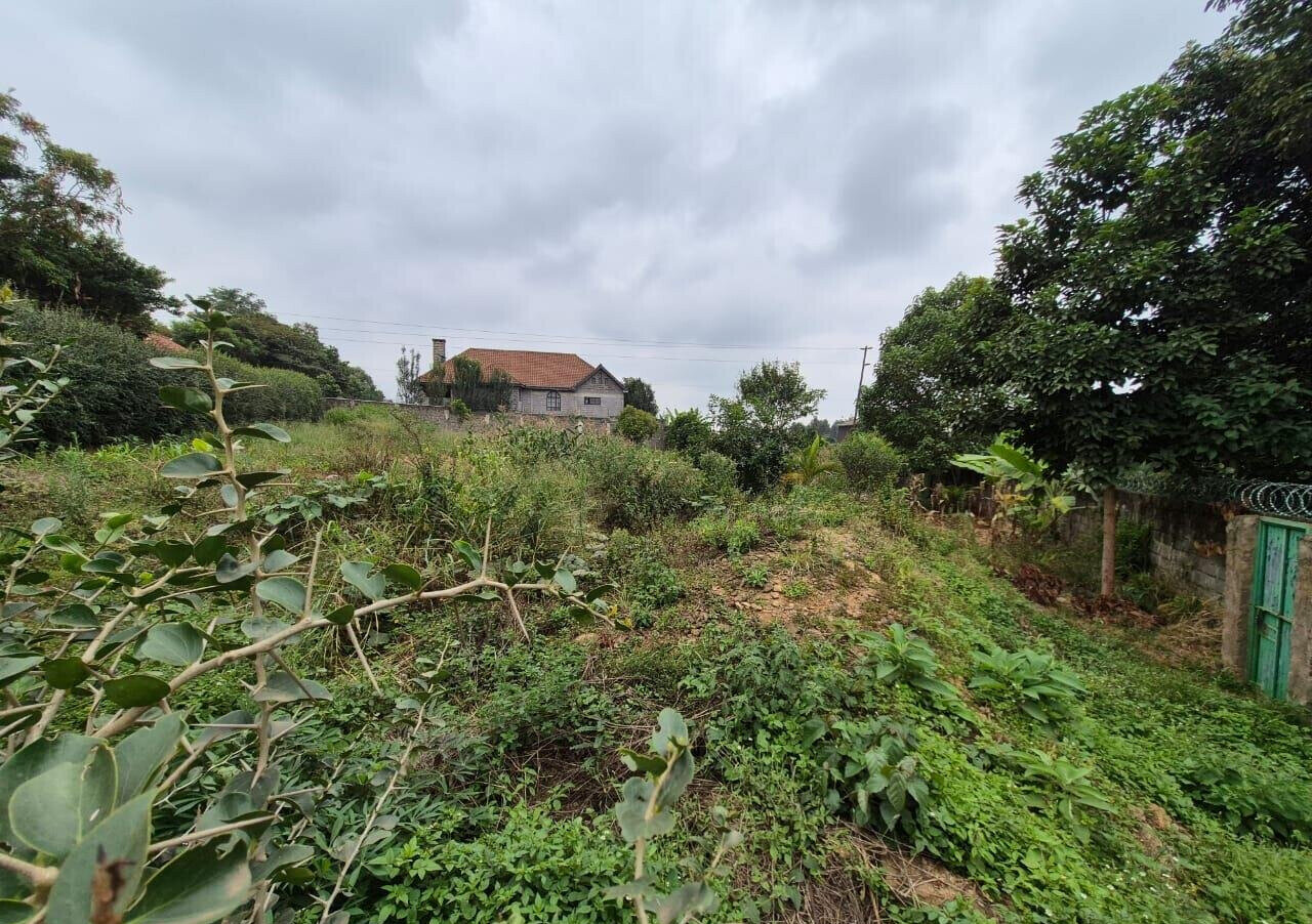 Half Acre Runda Gem at KSh 55M