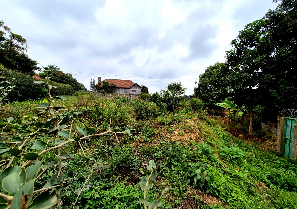 Half Acre Runda Gem at KSh 55M