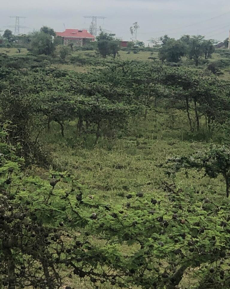 Quarter Acre Garden Plot in Kitengela