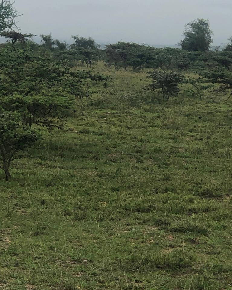 Quarter Acre Garden Plot in Kitengela