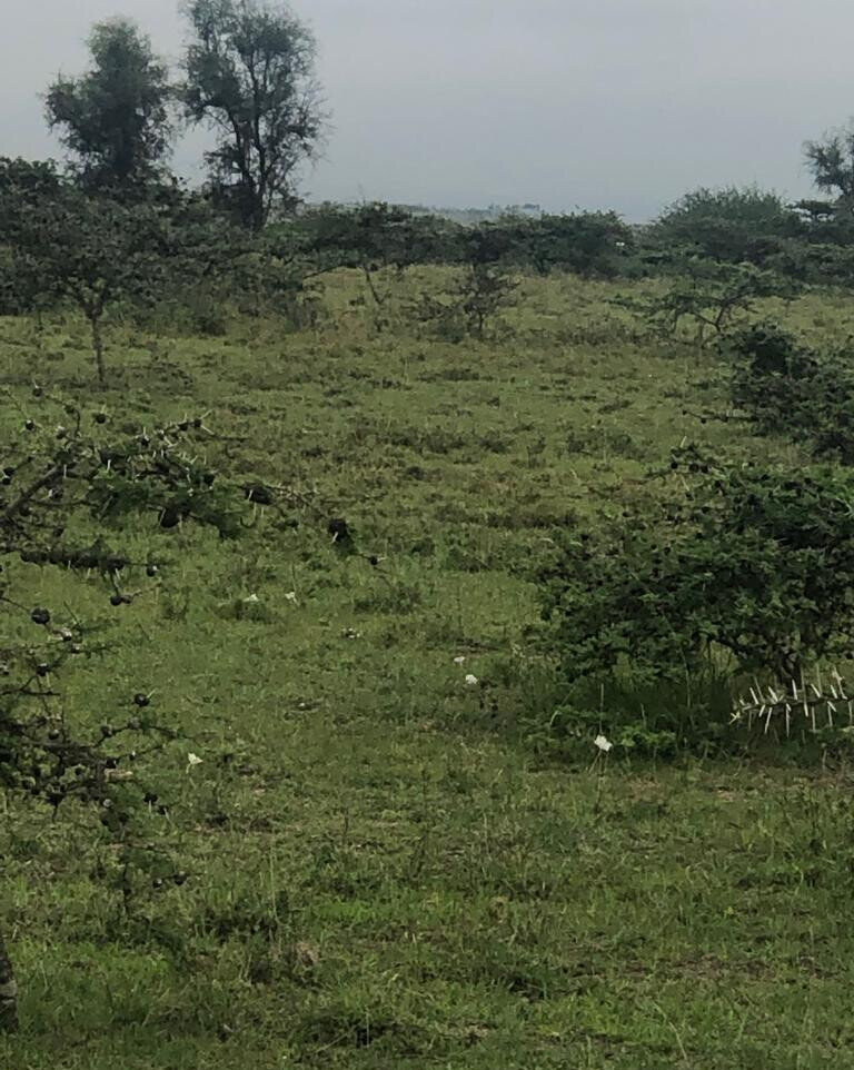Quarter Acre Garden Plot in Kitengela