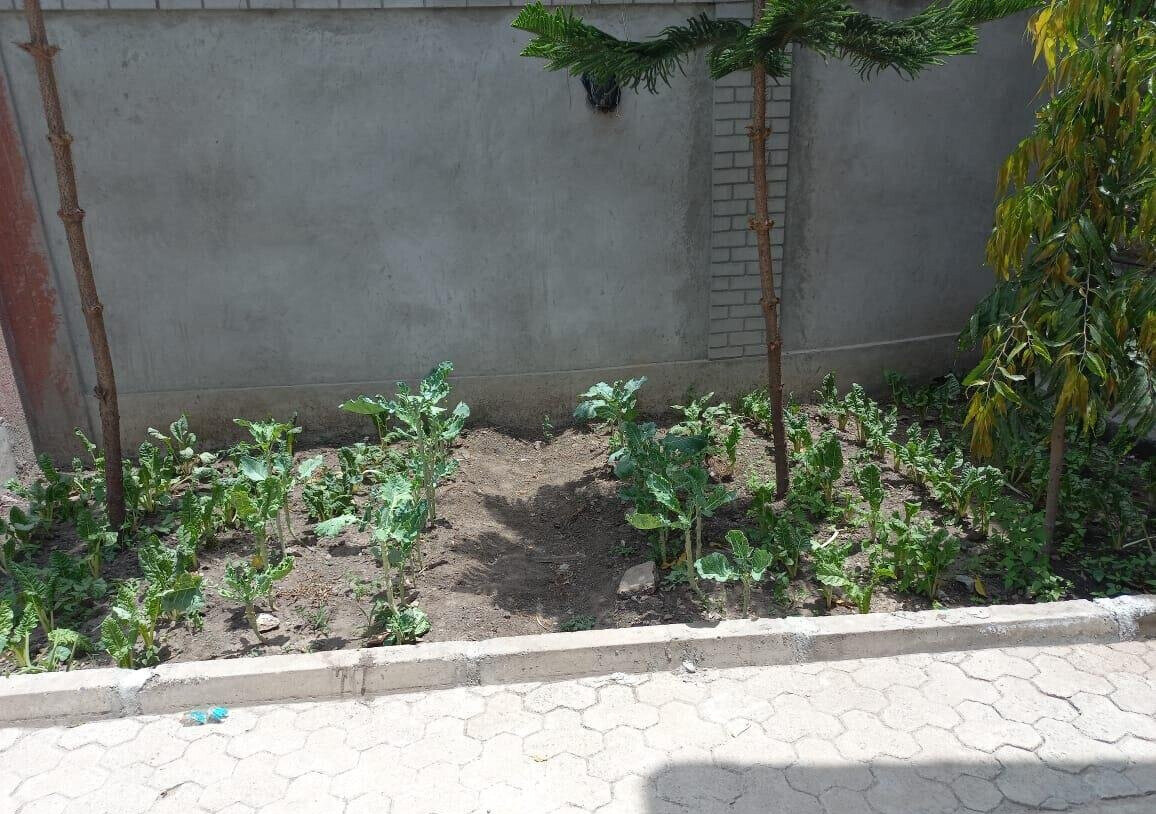 4BR Maisonette on 50x100 with Expressway Access - Mombasa Rd