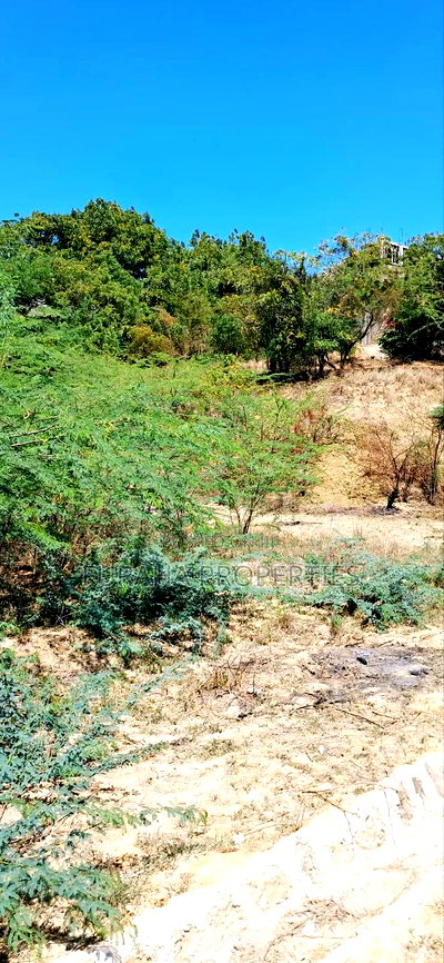 Half Acre Land for Sale Miritini - Image 2