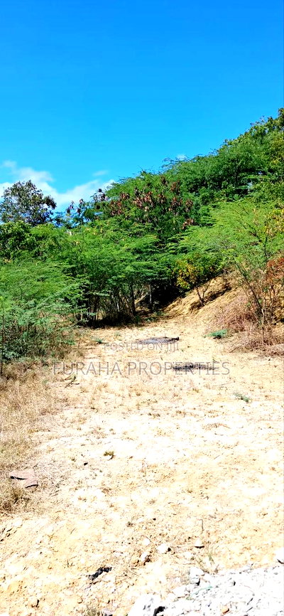 Half Acre Land for Sale Miritini - Image 6