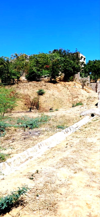 Half Acre Land for Sale Miritini - Image 4