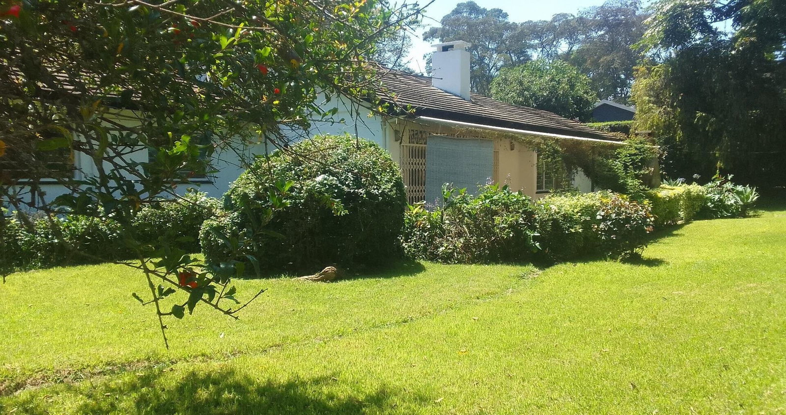 Spacious 4BR Bungalow at KSh 200K