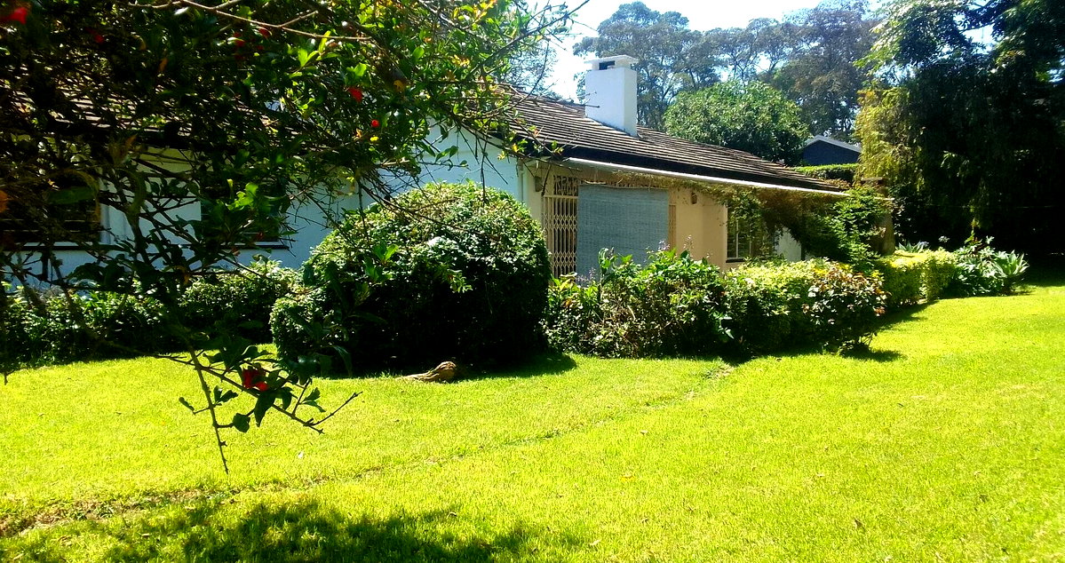 Spacious 4BR Bungalow at KSh 200K