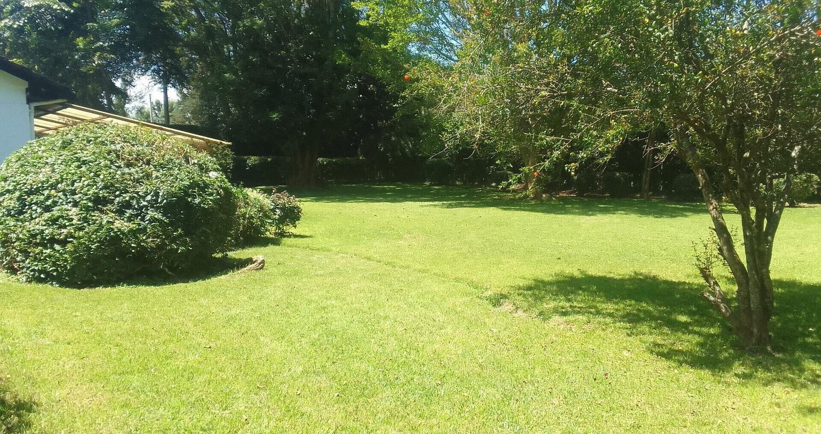 Spacious 4BR Bungalow at KSh 200K