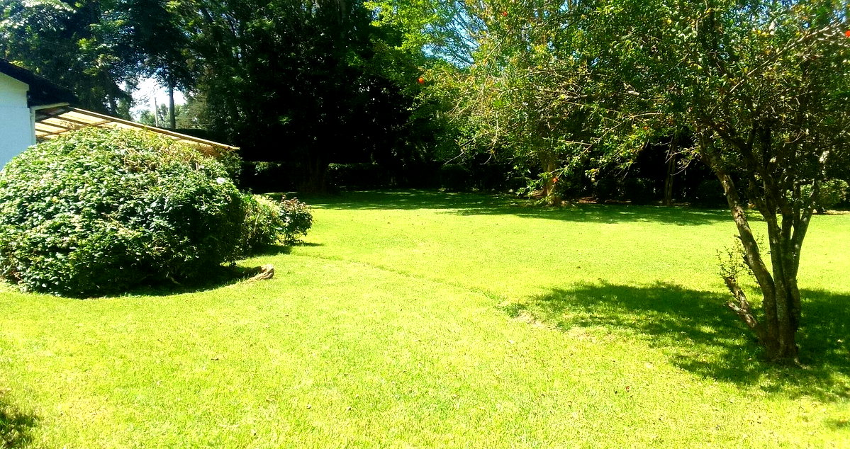 Spacious 4BR Bungalow at KSh 200K