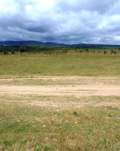 55-Acre Land with Mombasa Road Access