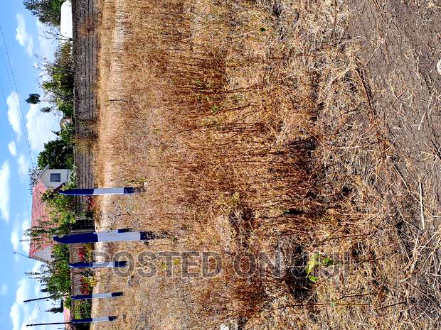 1/8th Acre Plots Kamulu 3M. Mw^
