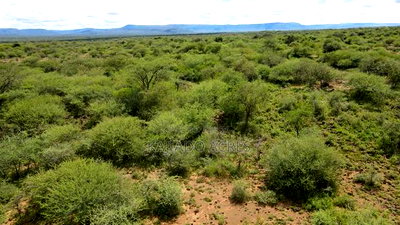 20 Acres Serashi Kajiado West at Per Acre - Image 3