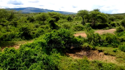 20 Acres Serashi Kajiado West at Per Acre - Image 4