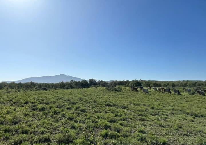 148-Acre Farm for KSh 1.2M Per Acre