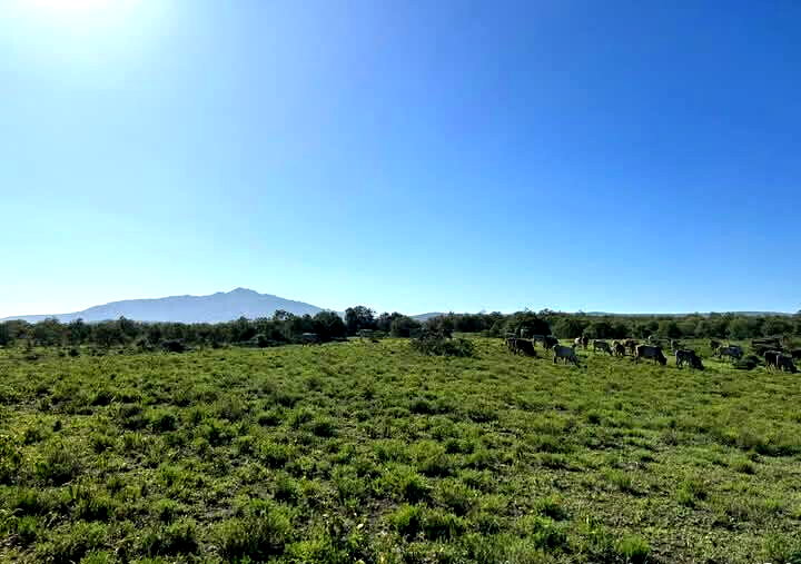 148-Acre Farm for KSh 1.2M Per Acre