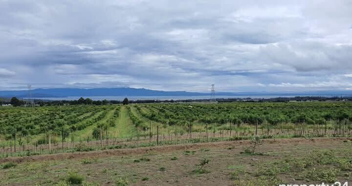 148-Acre Farm for KSh 1.2M Per Acre