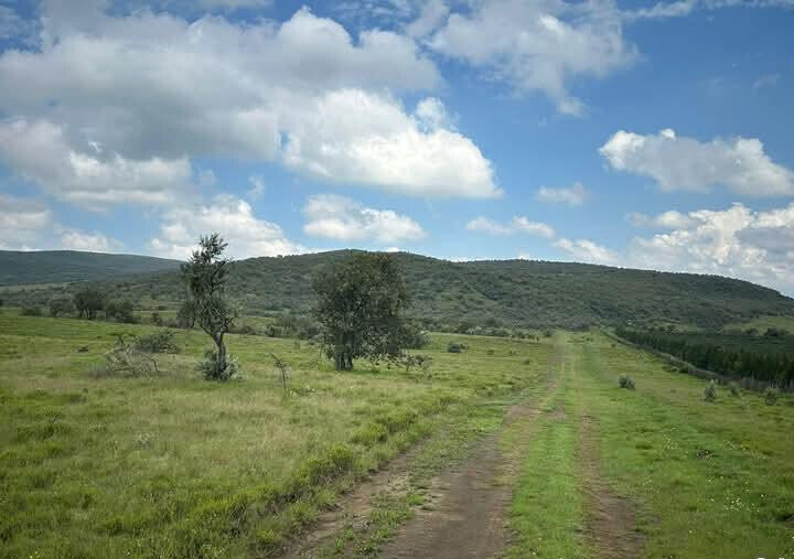 148-Acre Farm for KSh 1.2M Per Acre