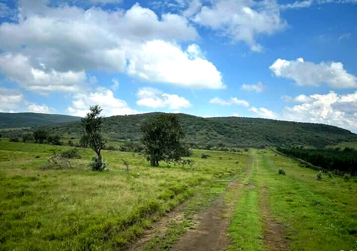 148-Acre Farm for KSh 1.2M Per Acre