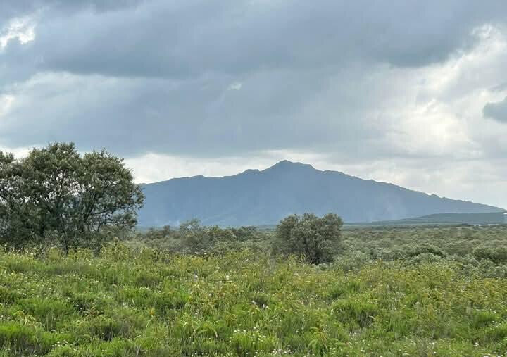 148-Acre Farm for KSh 1.2M Per Acre