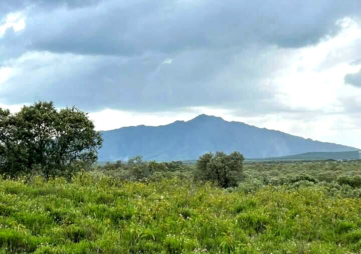 148-Acre Farm for KSh 1.2M Per Acre