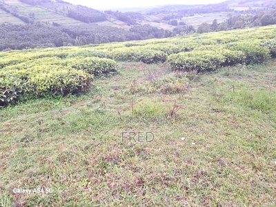 8 Acres in Gusii Settlement Scheme Boorabu - Image 2
