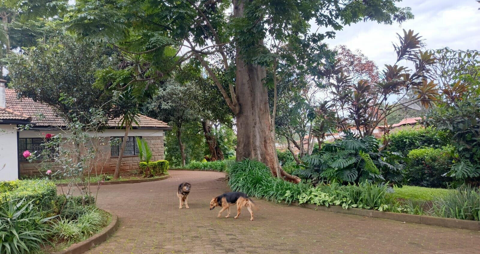 6BR Garden Home at KSh 650K