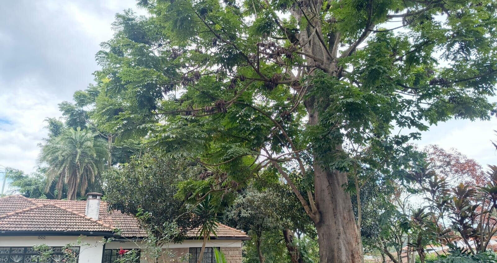 6BR Garden Home at KSh 650K
