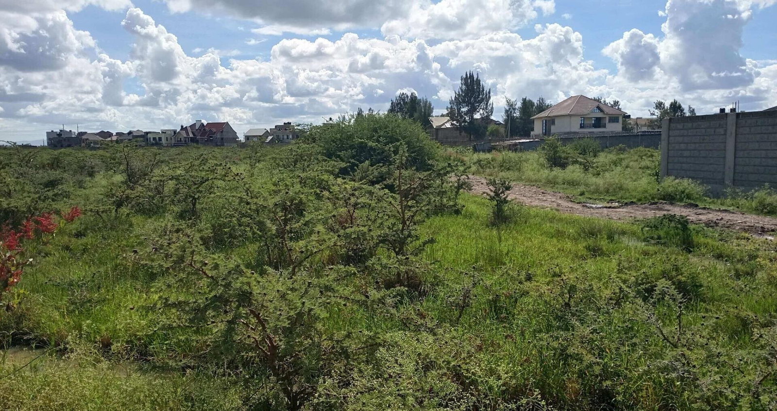 50x100 Plot at KSh 3.5M