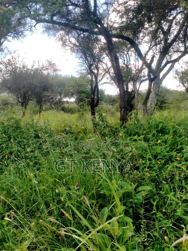 11 Acre Parcel Konza City Distress
