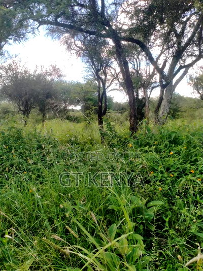 11 Acre Parcel Konza City Distress - Image 1