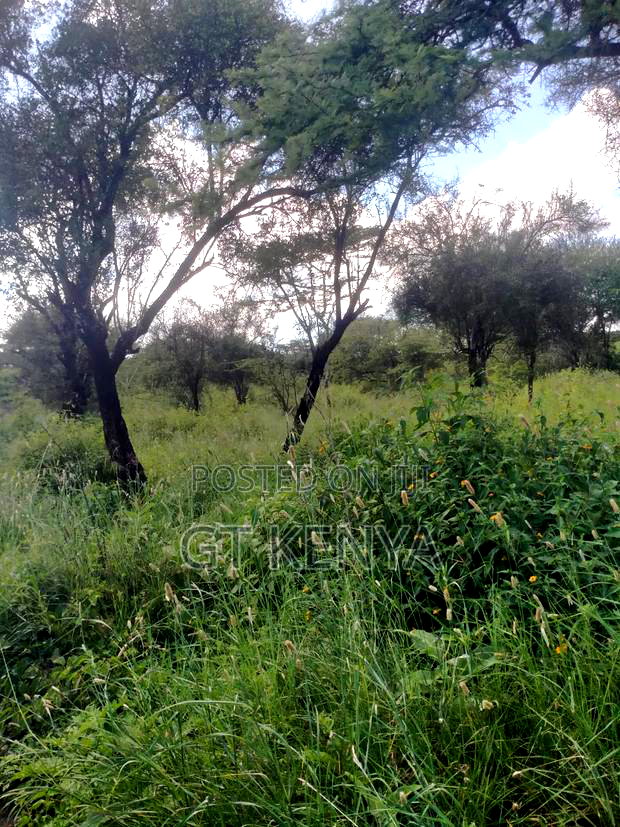 11 Acre Parcel Konza City Distress
