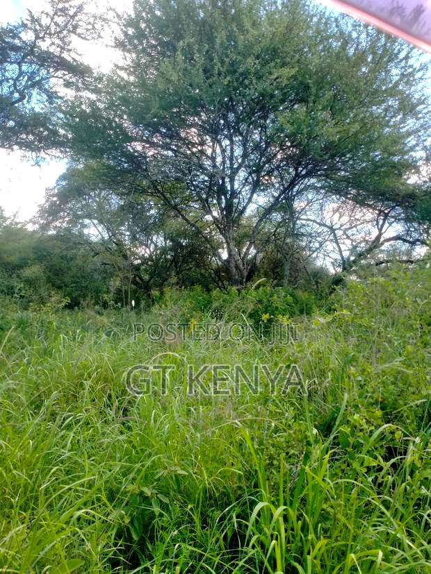 11 Acre Parcel Konza City Distress