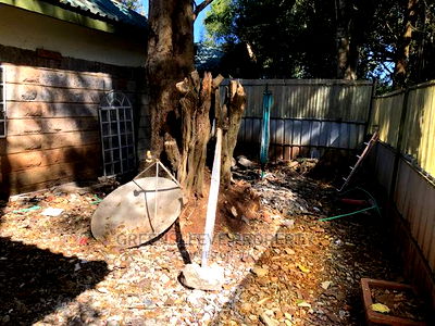 2bdrm Bungalow in Olorua, Karen C for Rent - Image 5