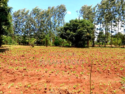 1/8th Acre for Sale at Muranga - Image 9