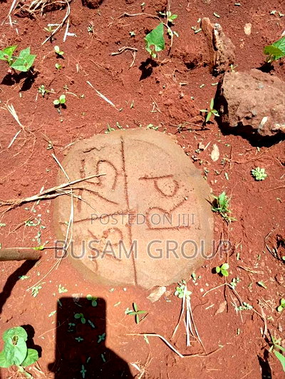1/8th Acre for Sale at Muranga - Image 10